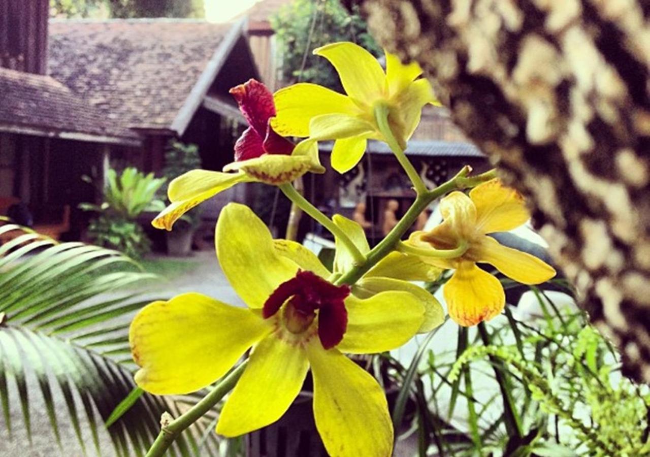 Tanita House Bed and Breakfast Chiang Mai Esterno foto